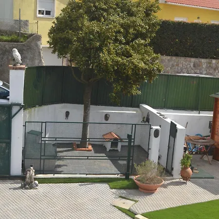 Rustic Chick * Belas