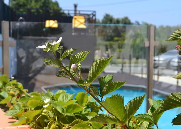 Βίλα Rustic Chick