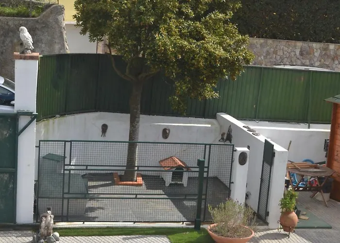 Rustic Chick * Belas